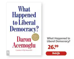 Bruna What happened to liberal democracy? aanbieding