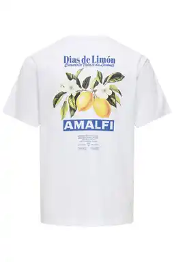 Wehkamp ONLY & SONS relaxed T-shirt met backprint wit aanbieding