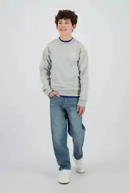 Wehkamp Raizzed sweater grijs aanbieding