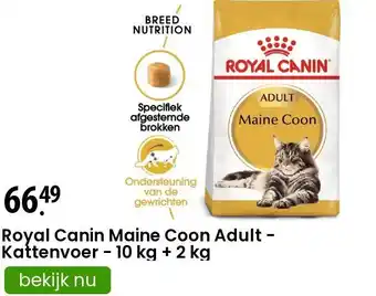 Zooplus Royal Canin Maine Coon Adult - Kattenvoer - 10 kg + 2 kg aanbieding