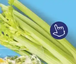 ALDI Bleekselderij aanbieding