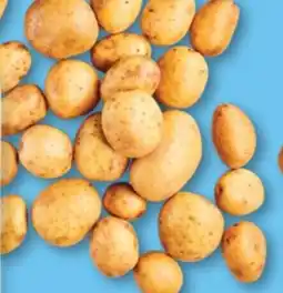 ALDI Vastkokende aardappelen aanbieding