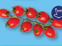 ALDI Mini-pruim trostomaatjes aanbieding