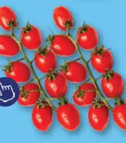 ALDI Mini plum cherry tomatoes aanbieding