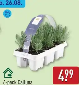 ALDI Calluna aanbieding