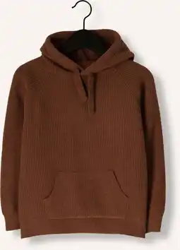 Wehkamp Ton & Ton Truien & Vesten Troy Bruin aanbieding