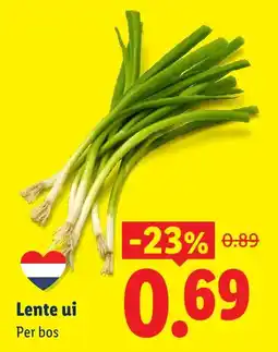 Lidl Lente ui aanbieding