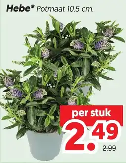 Dekamarkt Hebe* aanbieding