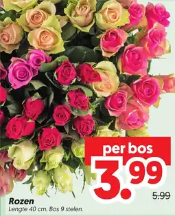 Dekamarkt Rozen aanbieding