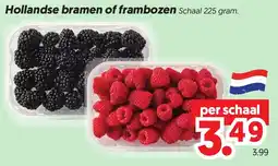 Dekamarkt Hollandse bramen of frambozen aanbieding