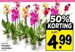 Vomar Voordeelmarkt Vlinder-orchidee aanbieding