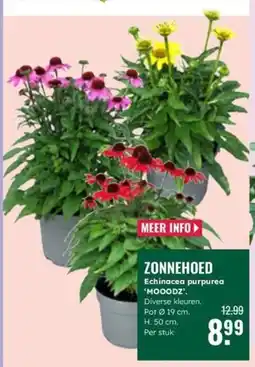 GroenRijk Zonnehoed aanbieding