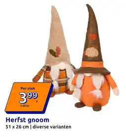 Action Herfst gnoom aanbieding