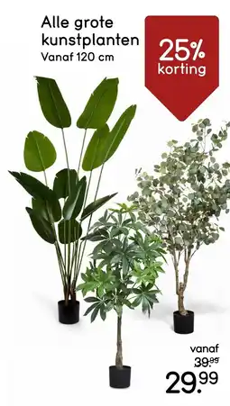 Leen Bakker Alle Grote Kunstplanten aanbieding