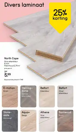 Leen Bakker Divers Laminaat aanbieding