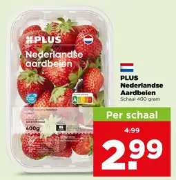 PLUS Plus nederlandse aardbeien aanbieding