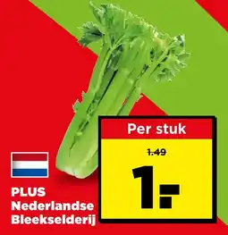 PLUS Plus nederlandse bleekselderij aanbieding