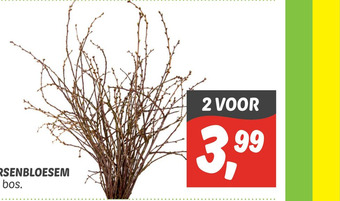 Dekamarkt KERSENBLOESEM aanbieding