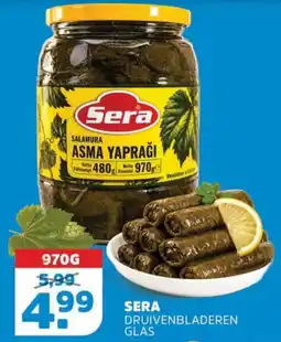 Sahan Supermarkten Sera druivenbladeren glas aanbieding