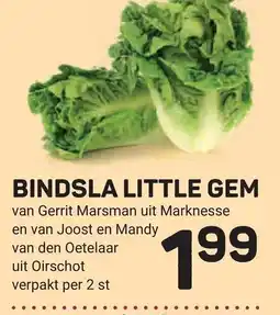 Ekoplaza bindsla little gem aanbieding