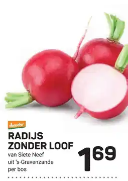 Ekoplaza demeter radijs zonder loof aanbieding