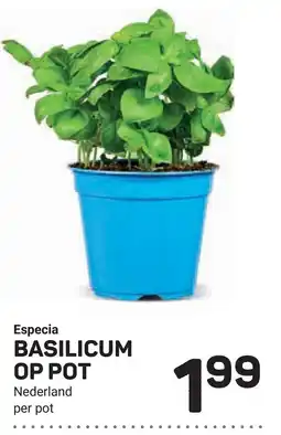 Ekoplaza Basilicum op pot aanbieding