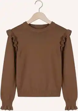 Wehkamp Ton & Ton Truien & Vesten Ted Bruin aanbieding