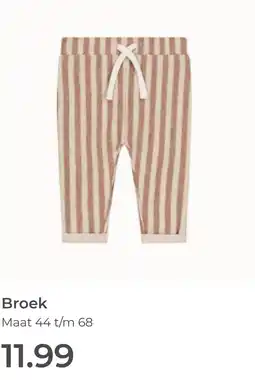 Prenatal Broek aanbieding
