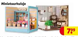 Kruidvat Miniatuurhuisje aanbieding