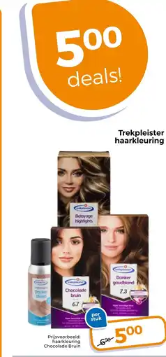 Trekpleister Trekpleister Haarkleur aanbieding