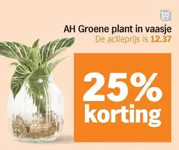 Albert Heijn AH Groene plant in vaasje aanbieding