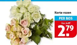 Hoogvliet Korte rozen aanbieding
