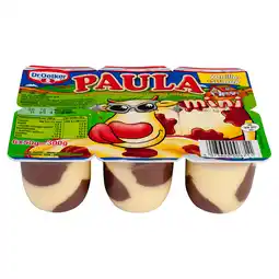 Dekamarkt Dr. Oetker Paula mini vanille met choco vlekken aanbieding