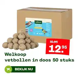 Welkoop Welkoop vetbollen in doos aanbieding