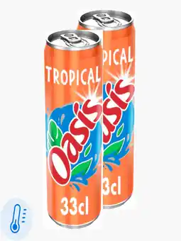 Flink Oasis Tropical 33cl 2x aanbieding
