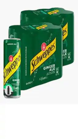 Flink Schweppes Ginger Ale 6pack 33cl 2x aanbieding