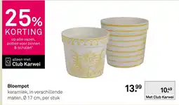 Karwei Bloempot aanbieding