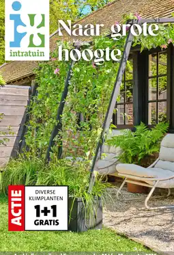 Intratuin intratuin diverse klimplanten aanbieding