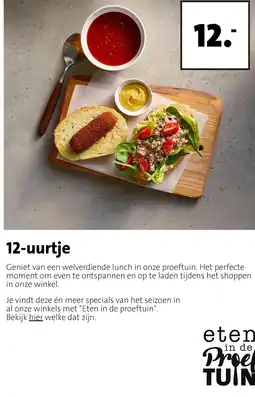 Intratuin 12-uurtje aanbieding