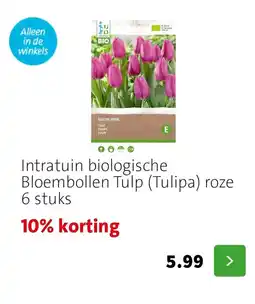 Intratuin Intratuin biologische Bloembollen Tulp (Tulipa) roze aanbieding