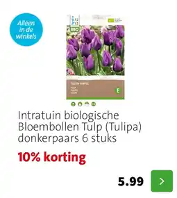 Intratuin Intratuin bloembollen tulp aanbieding