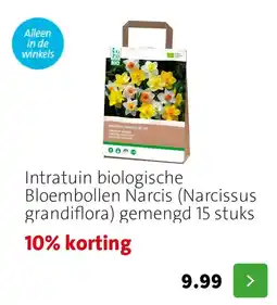 Intratuin Intratuin bloembollen narcis aanbieding