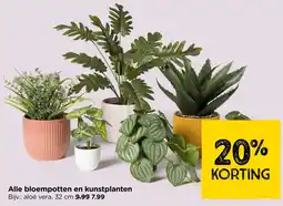 Xenos Alle bloempotten en kunstplanten aanbieding