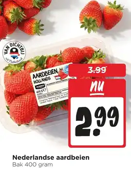 Jumbo Nederlandse aardbeien aanbieding