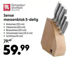 AllesZ Richardson Sheffield Sense messenblok 5-delig aanbieding