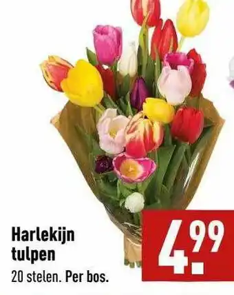 ALDI Harlekijn Tulpen aanbieding