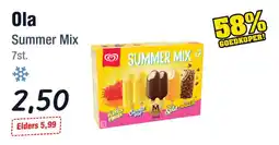 Budget Food Ola Summer Mix aanbieding