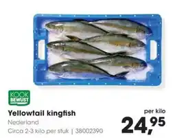 HANOS Kook bewust yellowtail kingfish aanbieding