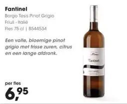 HANOS Fantinel Borgo Tesis Pinot Grigio aanbieding