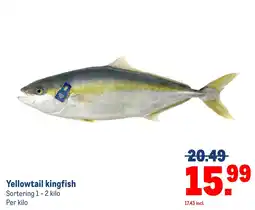 Makro Yellowtail kingfish aanbieding